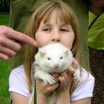 2005 Spring Frolic