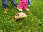 2006 Fall Frolic