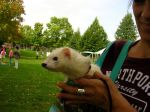 2006 Fall Frolic