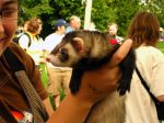 2006 Fall Frolic