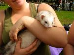 2006 Fall Frolic