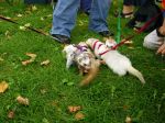 2006 Fall Frolic