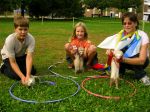 Ferret Jockey Winners