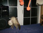 Fun Photos