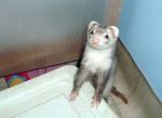 Hello cutie!