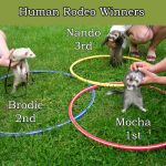 Human Rodeo Winners