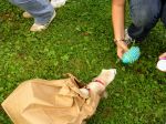 Paper Bag Escape