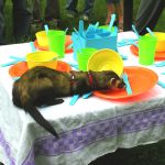 Table Clearing