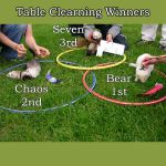 Table Clearing Winners