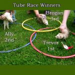 Tube Racing Winners