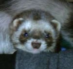 Whaddya lookin' at?