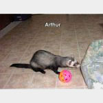 Arthur
