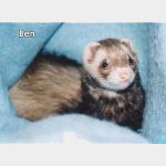 Ben