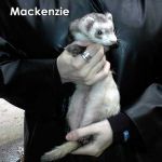 Mackenzie