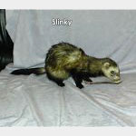 Slinky