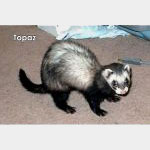 Topaz