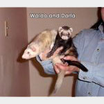 Waldo