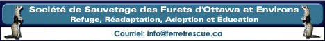 Ferret Rescue Society of Ottawa and Area