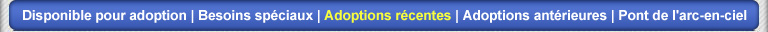 Adoptions r�centes