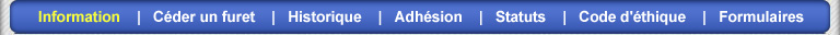 � propos de nous