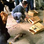 Folies d'automne 2003