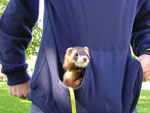 2007 Fall Frolic