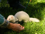 2007 Fall Frolic