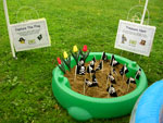 2008 Spring Frolic