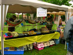 2008 Spring Frolic