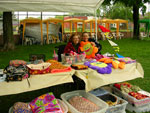 2008 Spring Frolic