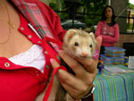 2008 Spring Frolic