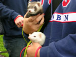 2008 Spring Frolic
