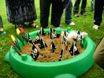 2008 Spring Frolic