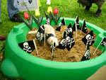 2008 Spring Frolic