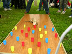 2008 Spring Frolic