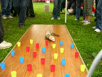 2008 Spring Frolic