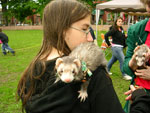 2008 Spring Frolic
