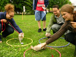 2008 Spring Frolic