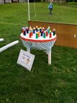 2009 Spring Frolic