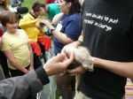 2009 Spring Frolic