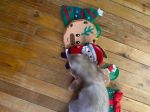 Noël en Juillet avec Kyo, Lily, Maya et 