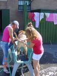 Dog Wash 2007