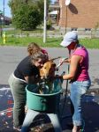 Dog Wash 2007
