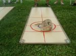 Curling de furets