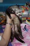 Stop squeezing my belly!