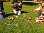 Tube Race Winners