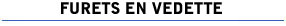 Furets en vedette