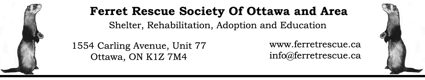 Ferret Rescue Society of Ottawa and Area