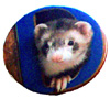 Button # 2