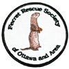 FRSO Badge